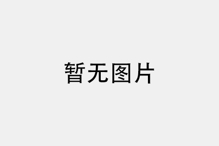 高速茄子视频APP官方应用程序中的故障分析